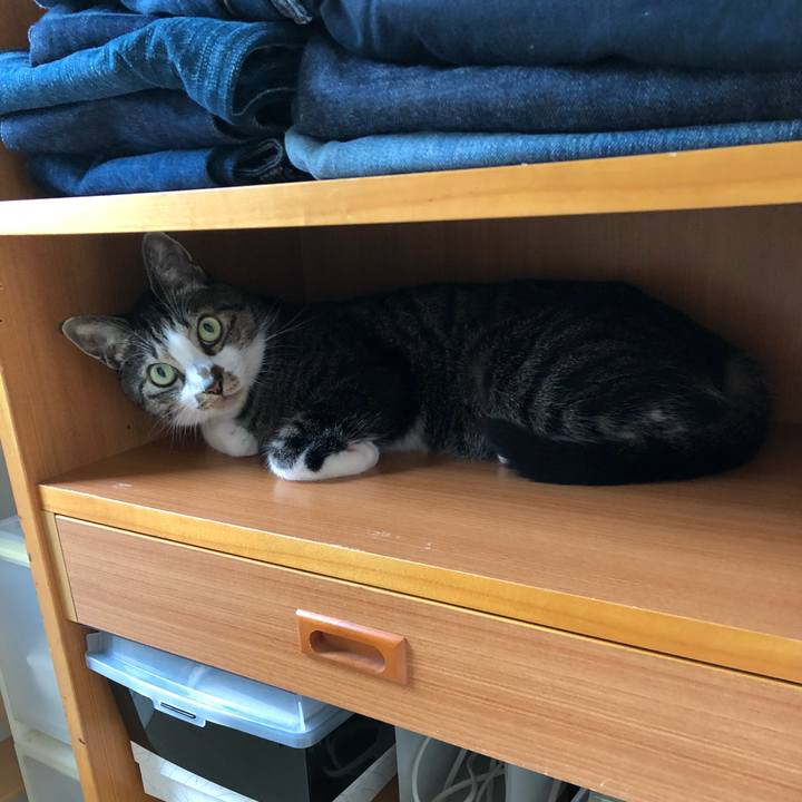 16d53f62 b46f 4270 b8dc 913b9287d82e 1533960396763