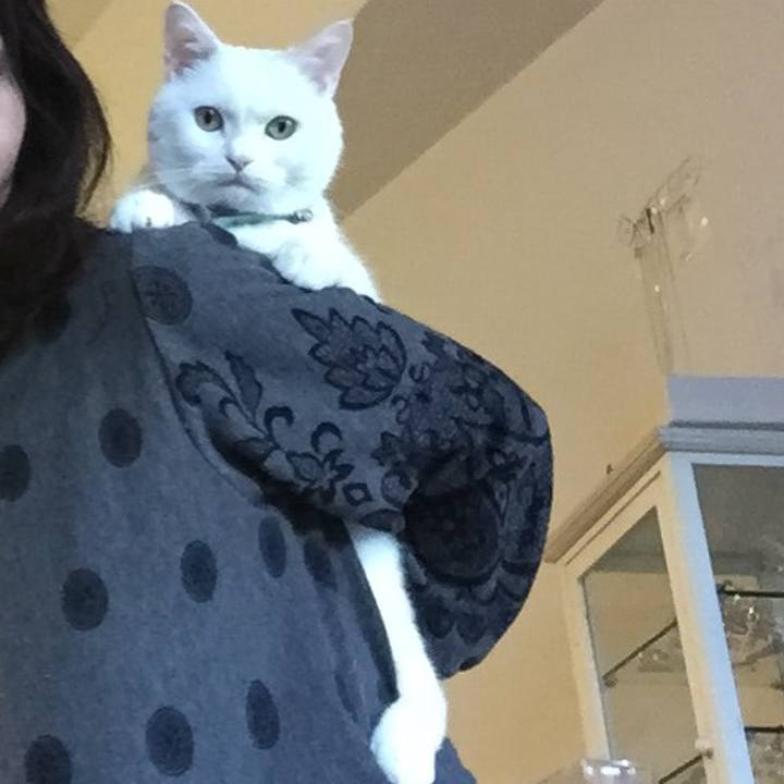 16d5726d 2cdd 4add 91b5 3ebdd4188873 1511020135818