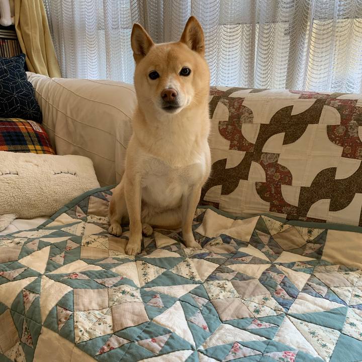 16d5a6a8 26d9 4465 8fe0 5dbbae526da0 1638064841746