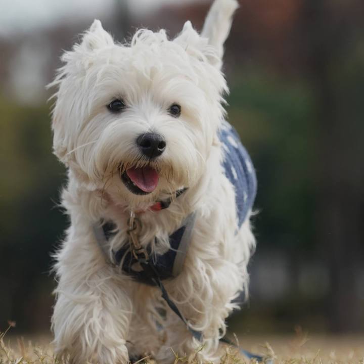 16d5e1d5 bc8d 4703 8e56 c053764486ba 1512212776438