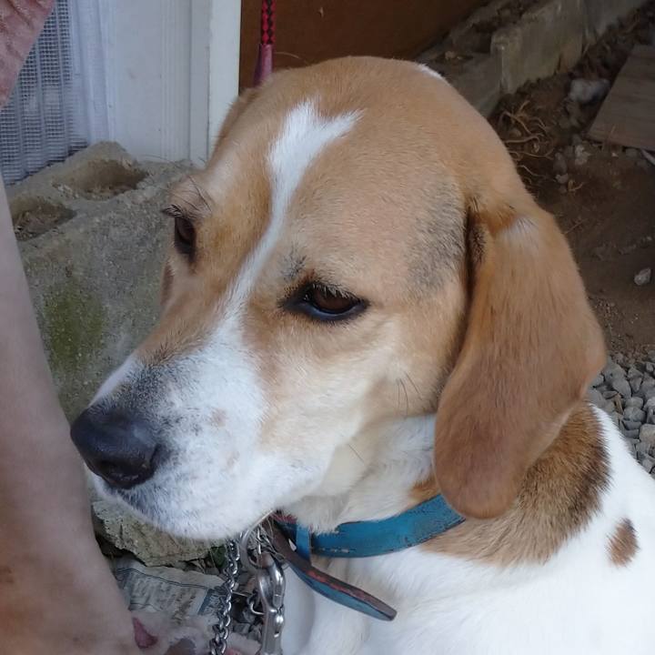 16d63ae8 716b 4665 9c79 b2f767be4afe 1613876590756