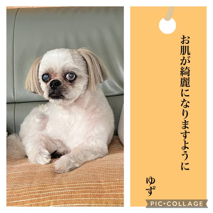 16d63ca8 8b11 4e53 9cb1 3bcdb2afba01 1720347688840