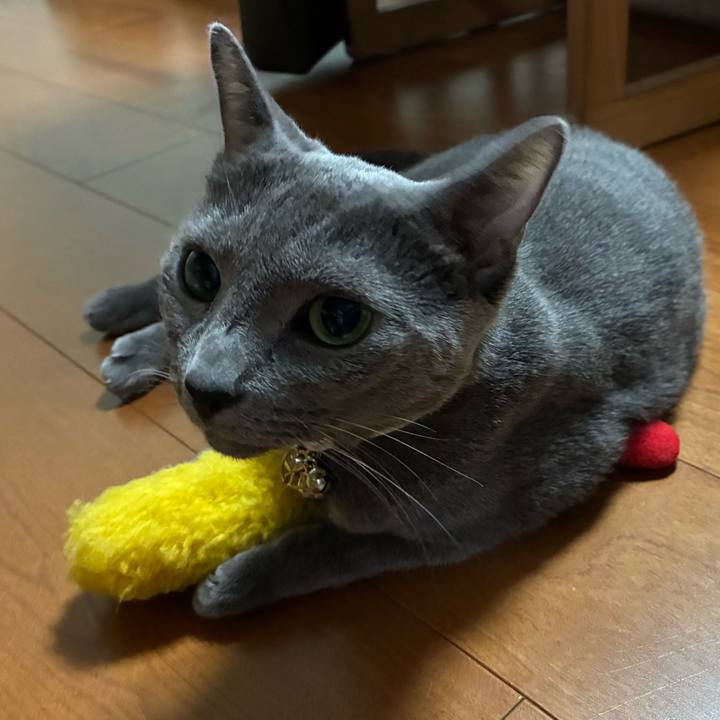 16d69798 3a42 406a 80f7 ee160ae2b3ae 1752907205130