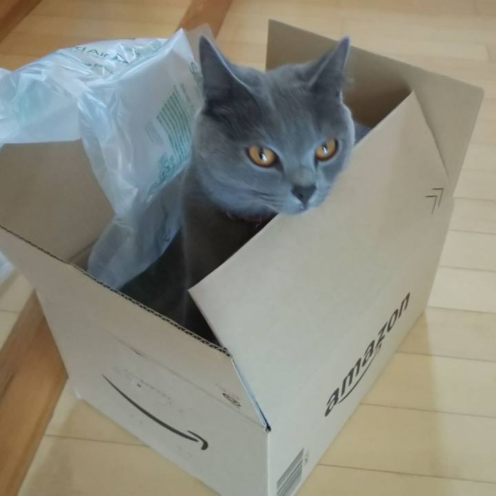 16d6985a 0e9f 4712 a7a0 89e6c987902e 1537410175776