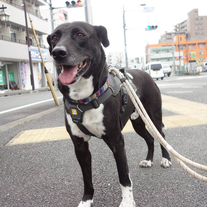 16d6e627 656f 48cd 9e85 f8ff5690f66b 1649206683035