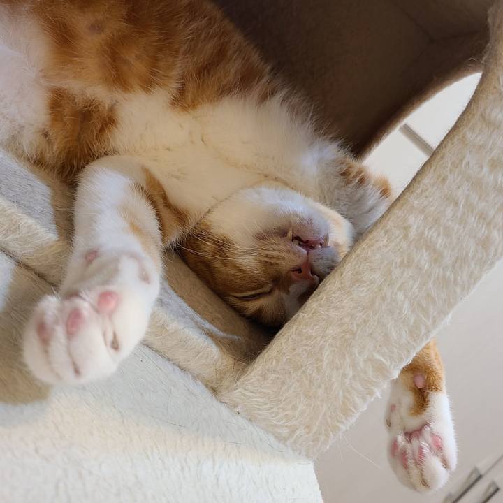 16d6fa0a 5200 48ac a6d1 3d603e711895 1634646102269