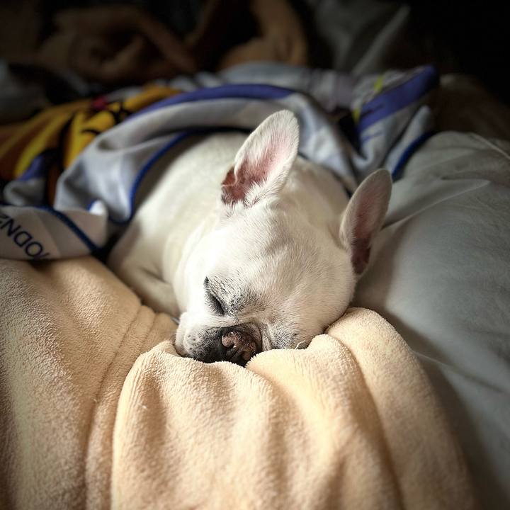 16d719d5 aad3 4370 b0b0 d98b499ac58f 1705898404387