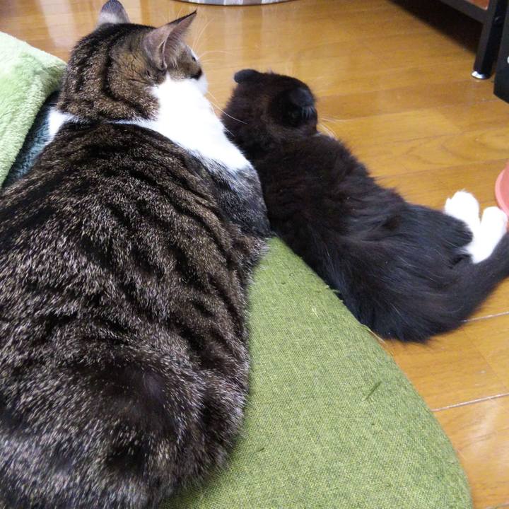 16d749fa 7708 46f4 aab8 2e9144f1a1e7 1639828711247