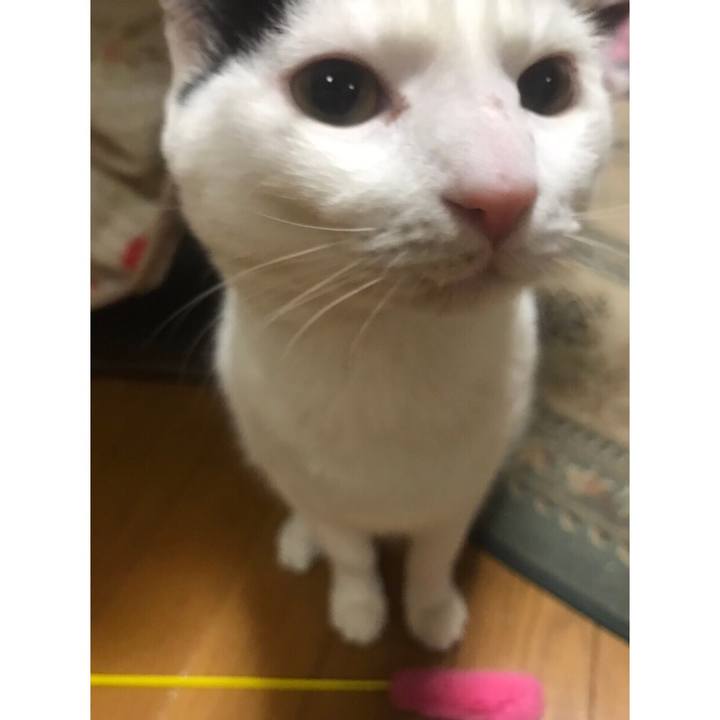 16d76086 c7b1 4ab6 92de d98040ca935c 1547742742767