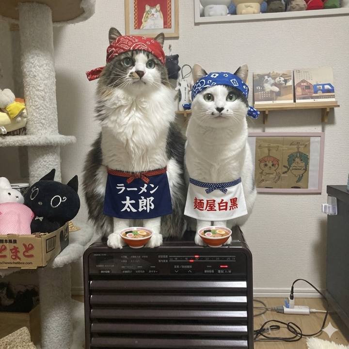 16d79dcd da90 4ccf 8e72 87cb27414f10 1768223314301