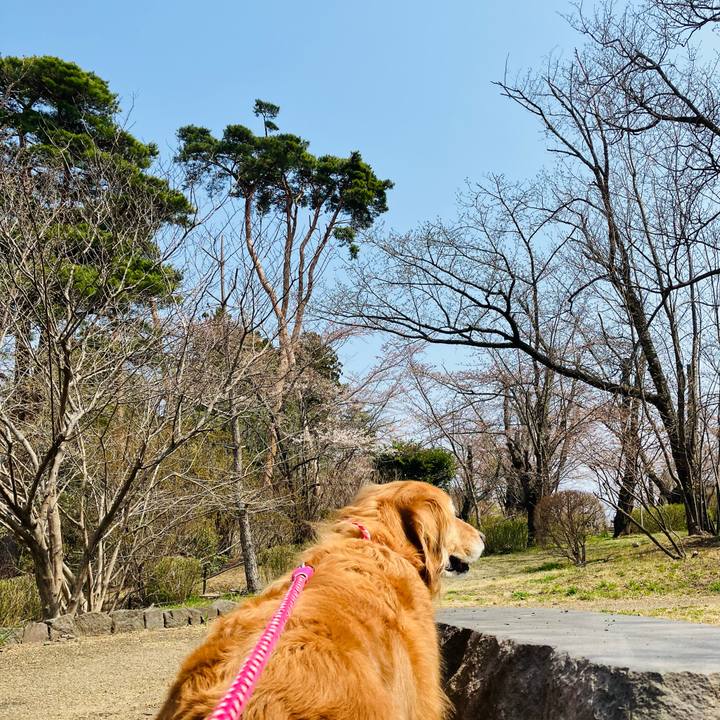 16d7b2f4 6591 4d5f a38c 186890d12fb1 1744128994153