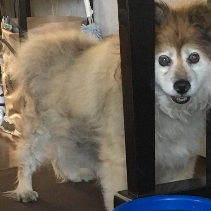 16d7bf34 dae1 476d 8d5c b26506757c95 1597114721316