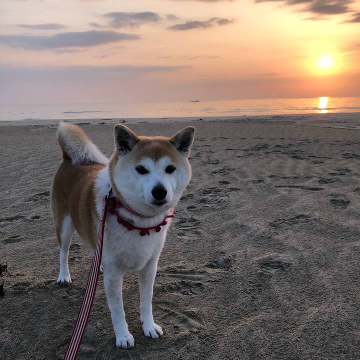 16d7e589 fde7 4143 a3c2 71628bbab08f 1678400616438