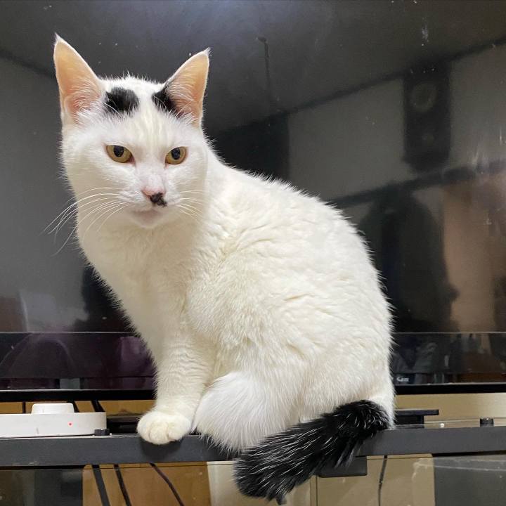 16d80592 900f 4817 ad69 15581447aa70 1639828117370