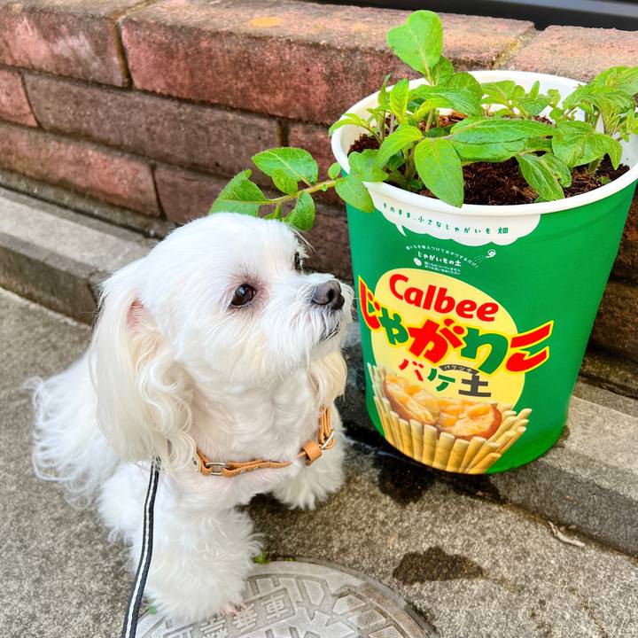 16d8144c d4e8 4a12 83c0 6bff4f5a05c0 1680231861830