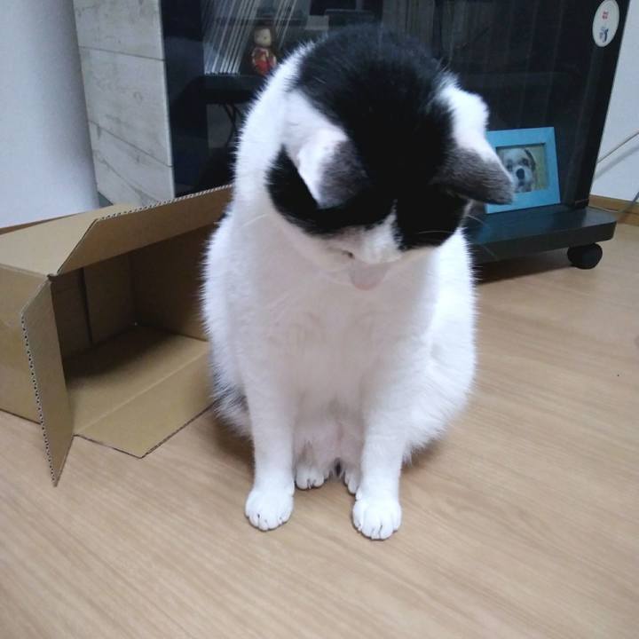 16d81dd8 9012 4dfa ab60 734df967783c 1555591457964