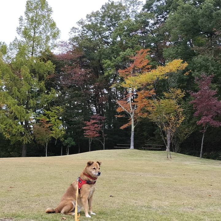 16d82eae 6783 4be3 96df 4e521b5f0588 1761909151468