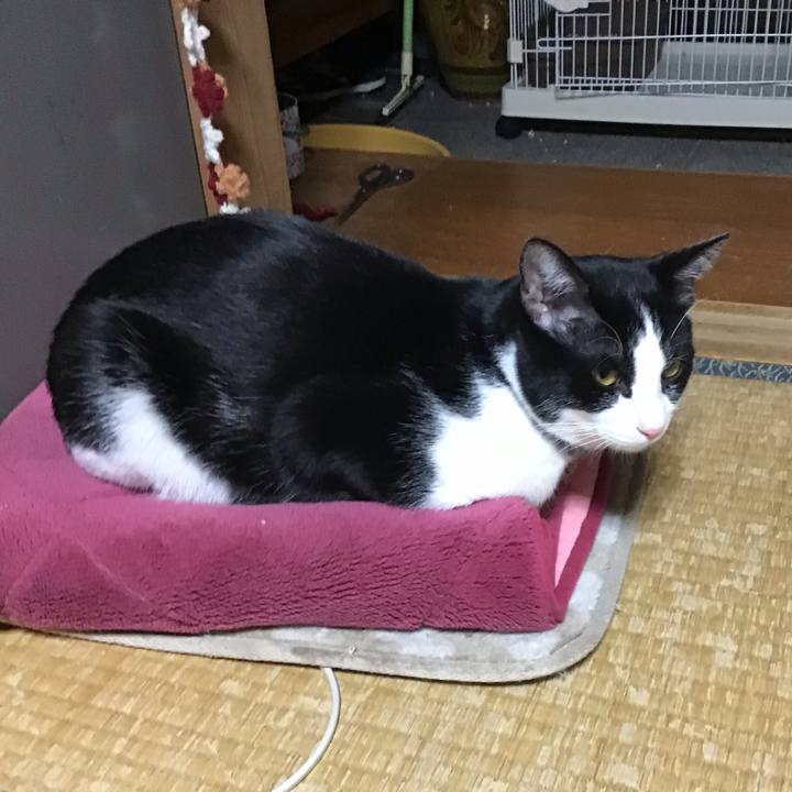 16d84271 14b9 4a63 b66f 1214d5be9f1f 1642410341892