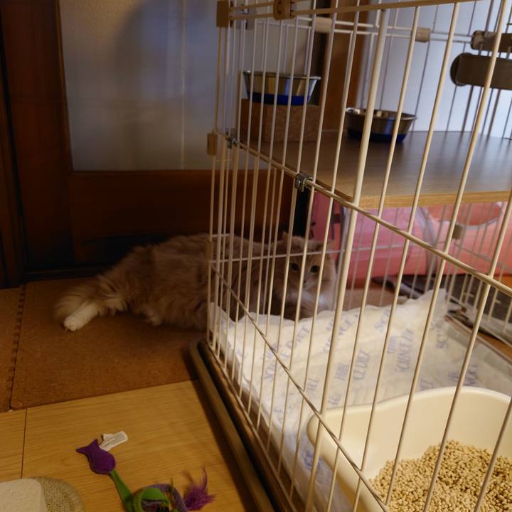 16d86e20 1167 43a9 b442 4002fc26305a 1697247816133