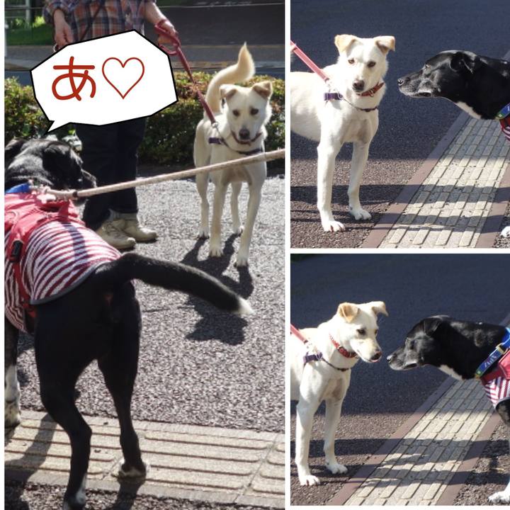 16d87b49 07fa 49c8 b0b0 1ce17d7f0de5 1686875100464