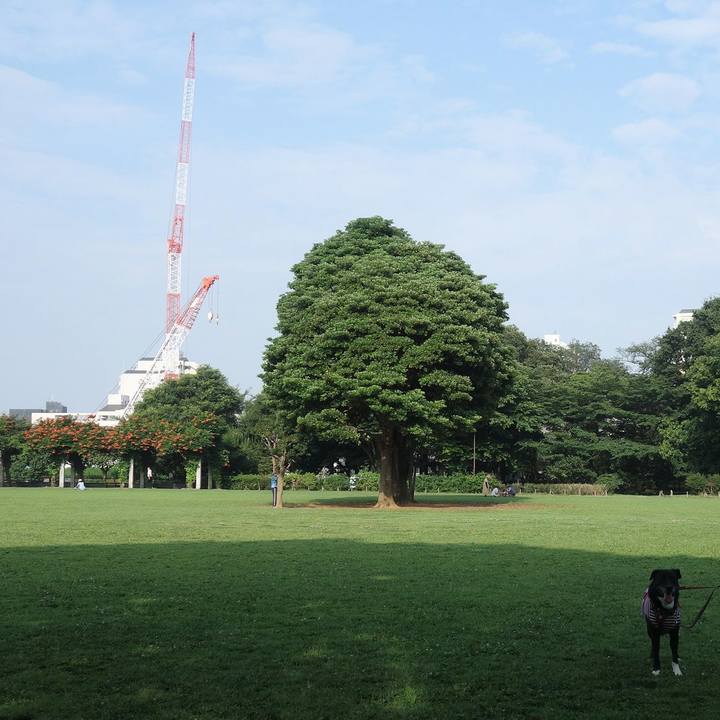 16d88bca 06bf 4496 990e c8d056106c09 1687912922931