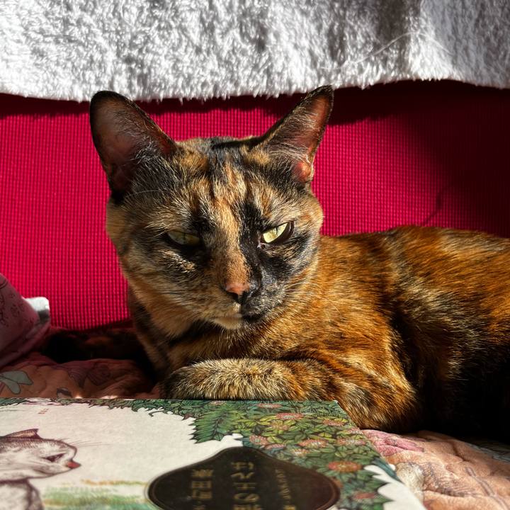 16d89f15 a313 45a5 b4ee 9271fc816291 1730367267511