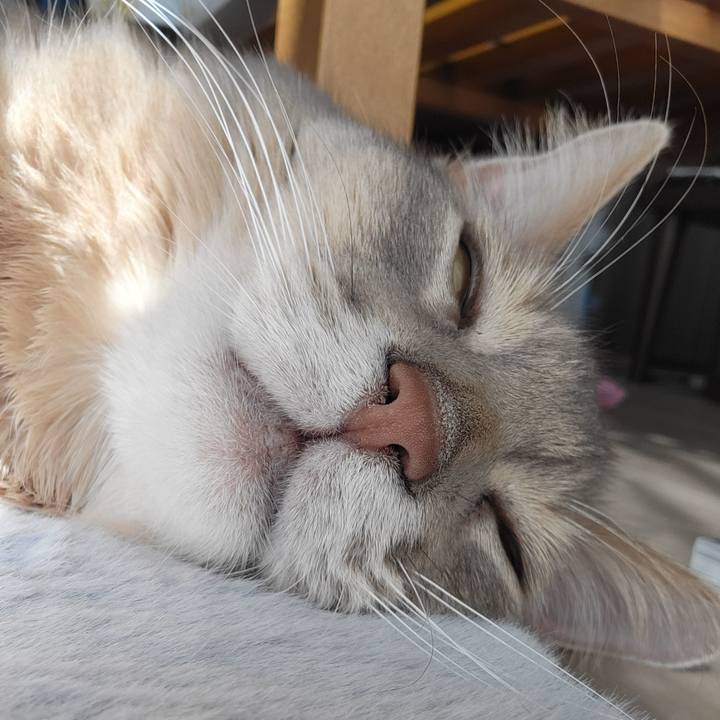 16d8a22e 4cb6 412e 9f25 9c7dd9272864 1677896593830