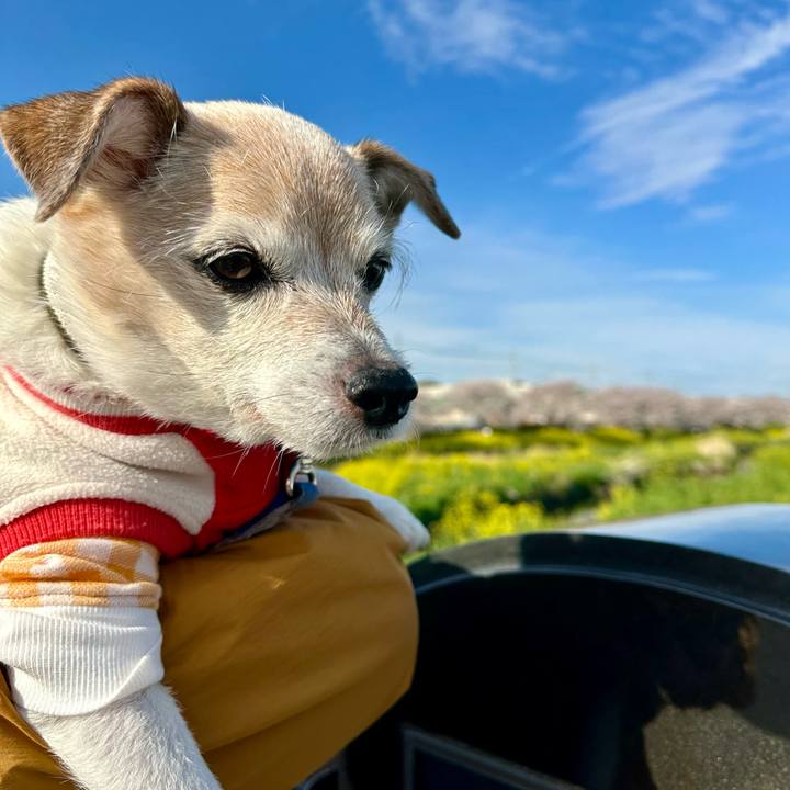 16d8afce 6668 4aaf 8cbc 04d7abbd2381 1744506602272