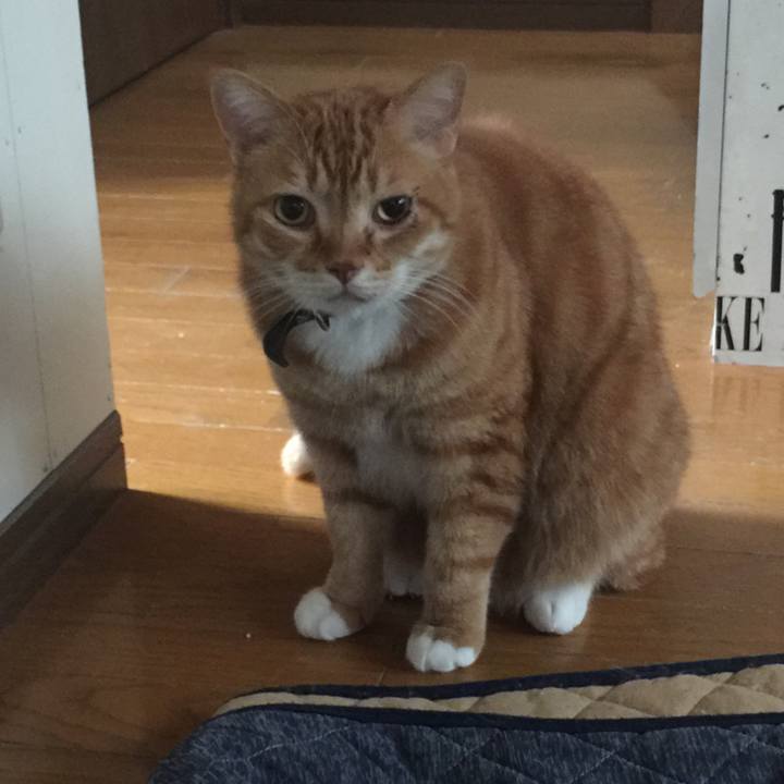 16d8c04b 2278 471f 9dc6 eb86098e1643 1553908996448