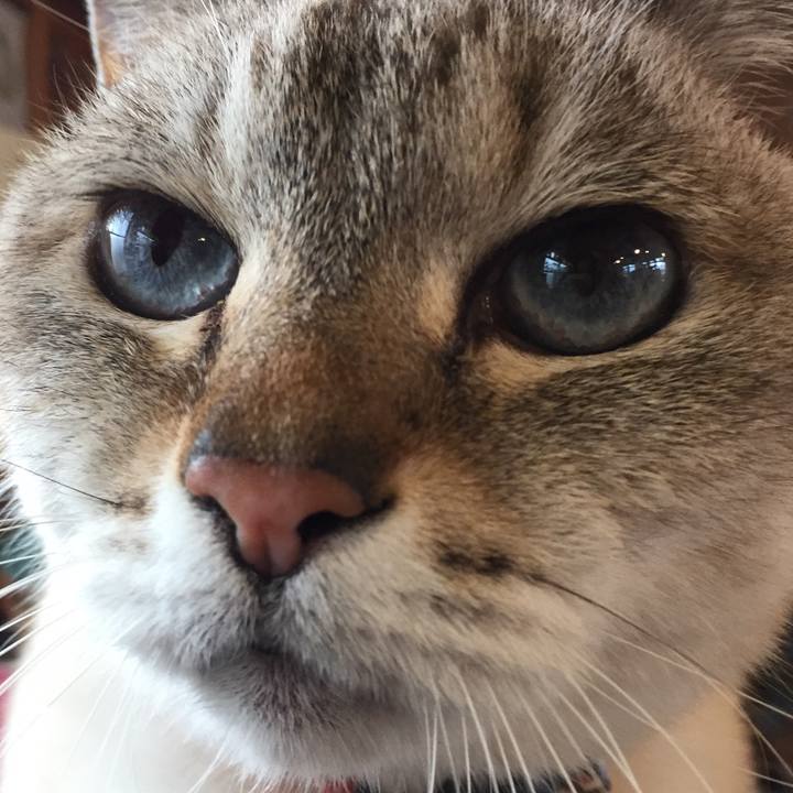 16d8c3a0 a993 44f0 9150 f21eb025d6fc 1580191846409