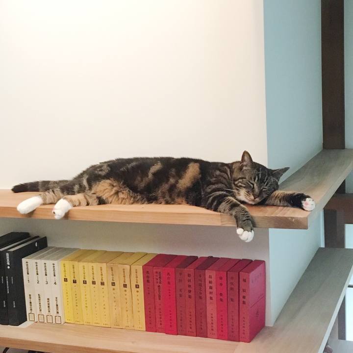 16d8e0d2 e1fc 439b 88a0 1cc421093e01 1531181035080