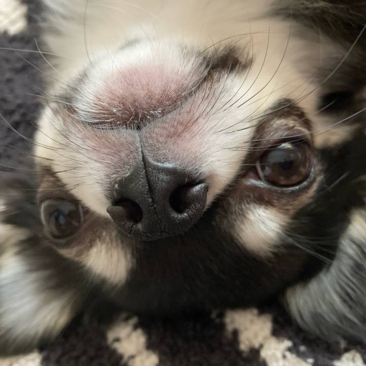 16d91b94 d37d 43e0 b0f3 47f45b1d7471 1619706077468