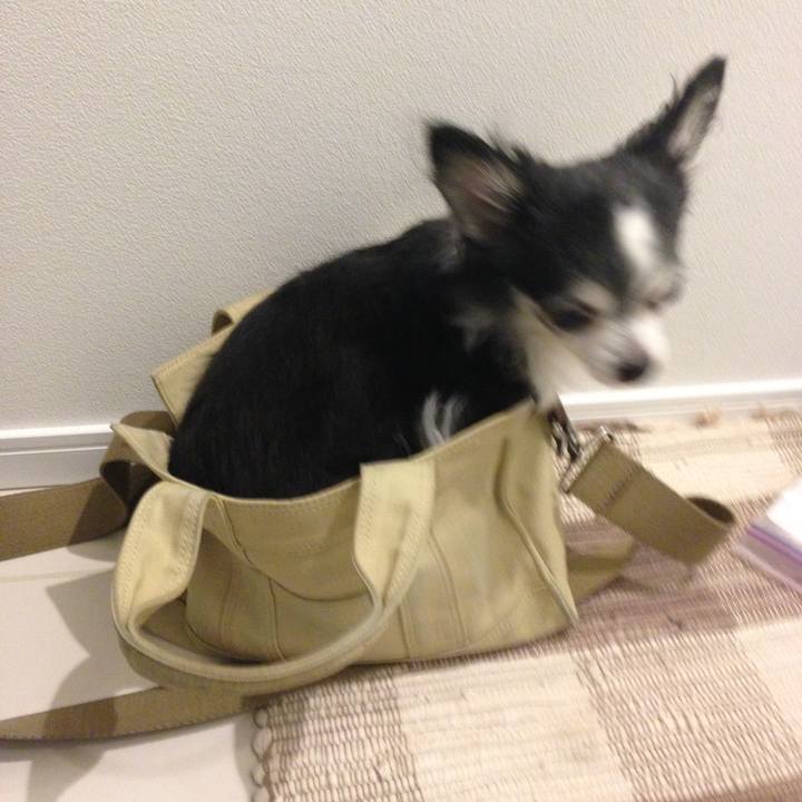 16d93e3b 29e8 49ec 8f4d 2325b8c099c7 1563697765986