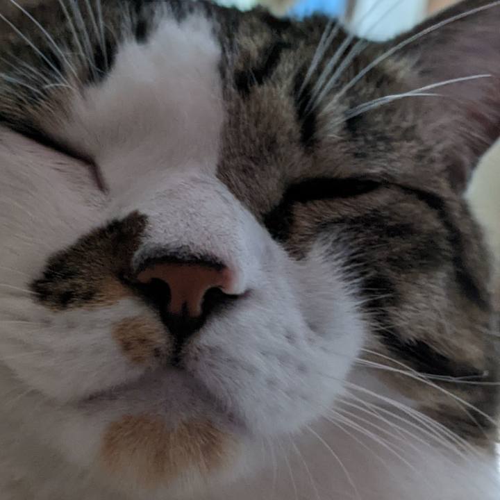 16d958eb cf7a 40fd 888c 8b8e70a107ce 1667610889951