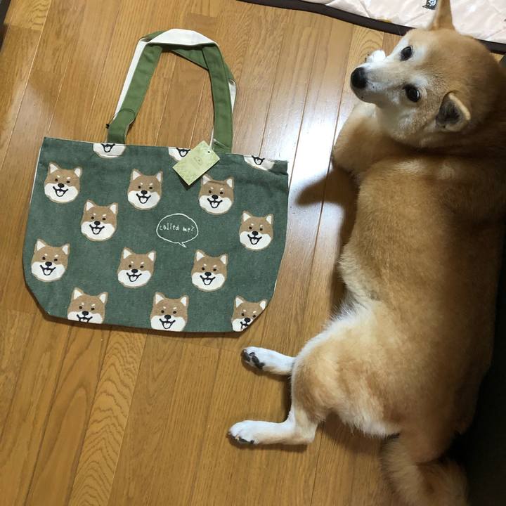 16d96025 4c82 4716 aa39 d256b7e758ff 1565614249008