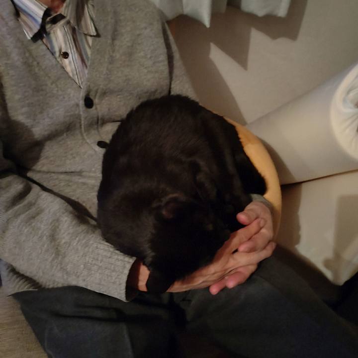 16d96168 62e7 40aa 82af 5b2e5fd79ad7 1761382589771