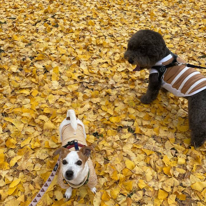 16d96fa2 4722 476b 9a1e 1482f9dcd736 1669813907929