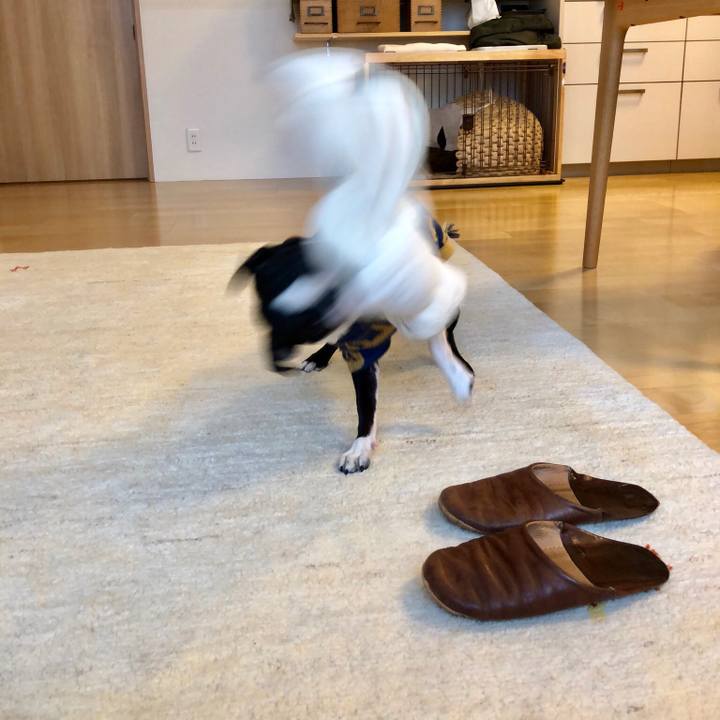 16d99909 711d 47f9 b99c d3159ccd4933 1521508797485