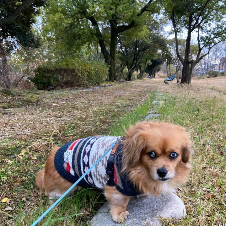 16d99e27 0f52 435d b67e 1db828ee55fc 1609634654120