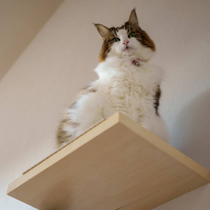 16d9d6b2 21e2 41cd bb3c 4f60a13d3974 1731206251291