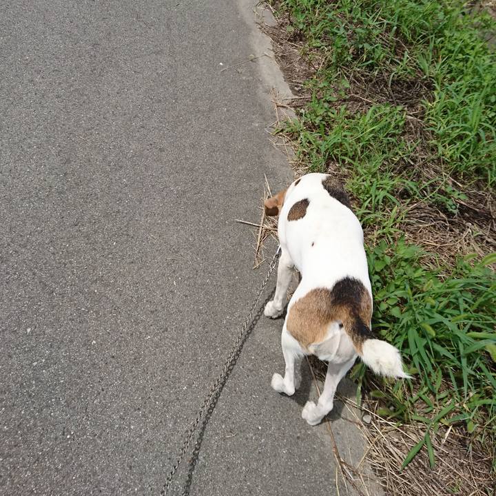 16d9ea06 a0b1 4386 abd3 033a3f9c9d1e 1568124519576