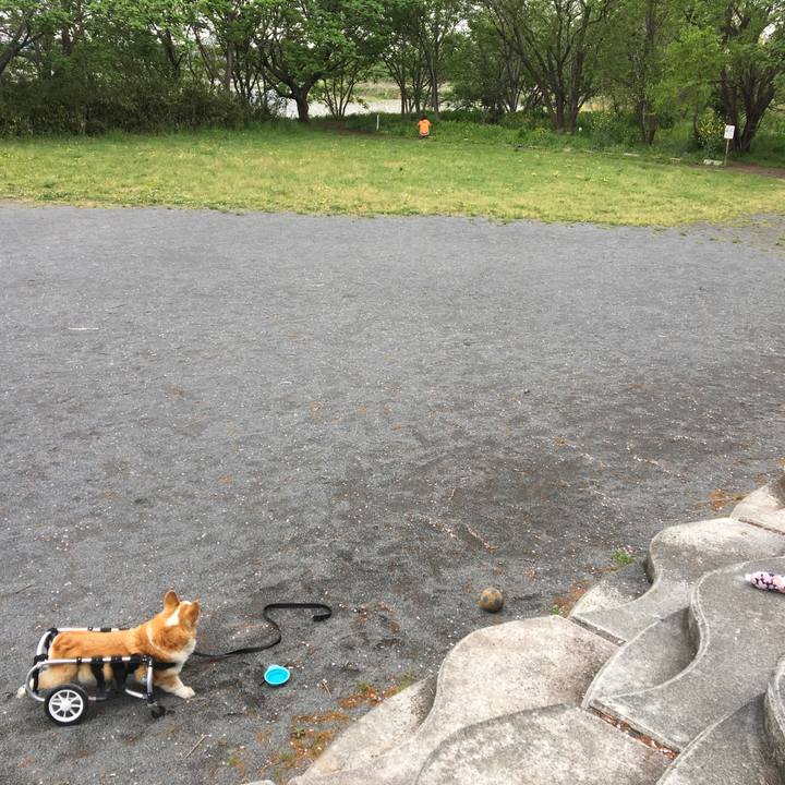 16da07f2 d7a0 4b68 b9c6 25e6e4fc6be5 1556334541494