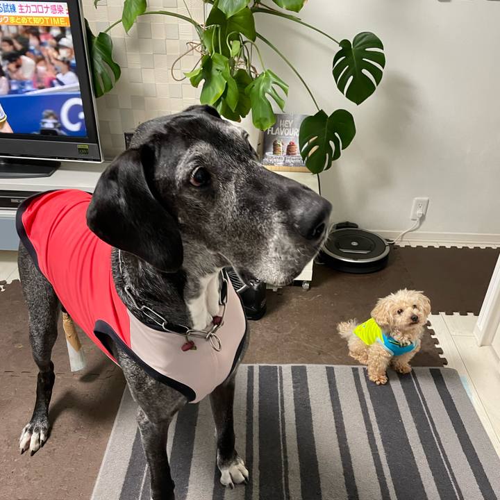 16da4715 db51 43b5 9dd5 692dafdac6f0 1649887822525