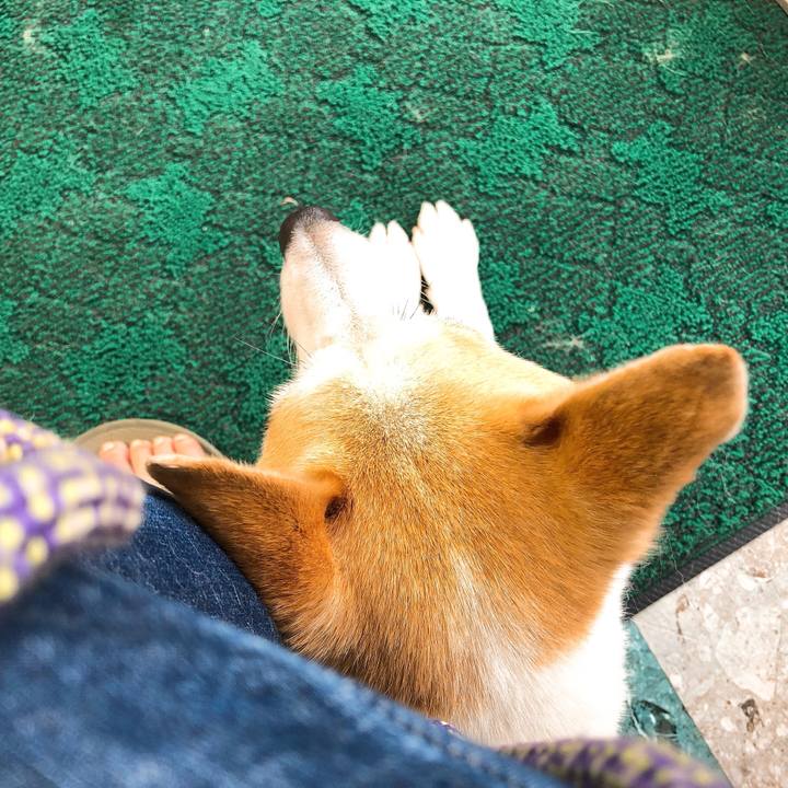 16da4cfc 2372 43f5 8971 9ac884004e02 1593442389864