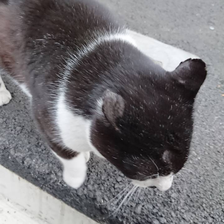 16da5db0 fd58 4d29 89ea 95a115f65119 1646137924654