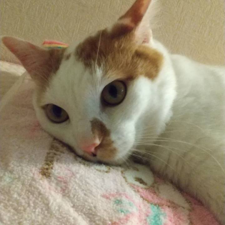 16da70e8 ba9f 4398 9652 d1f2d2d4b555 1695886042398