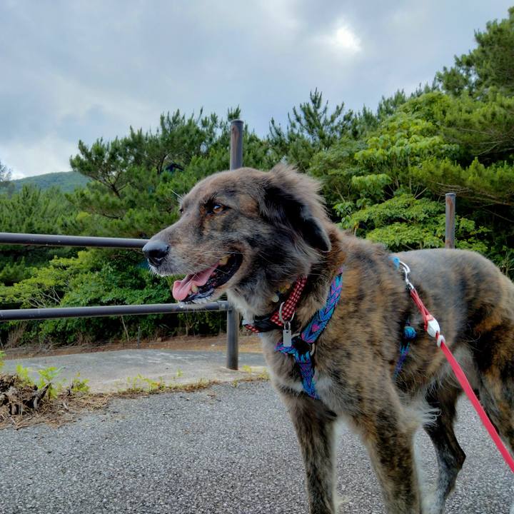 16dab94c cf7e 4d48 b379 d8289188ed71 1652874083385