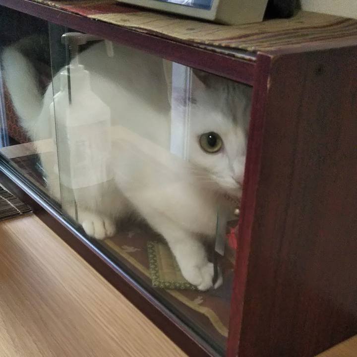 16dac6c5 1801 4696 adb3 6b94c63280a0 1638060522340