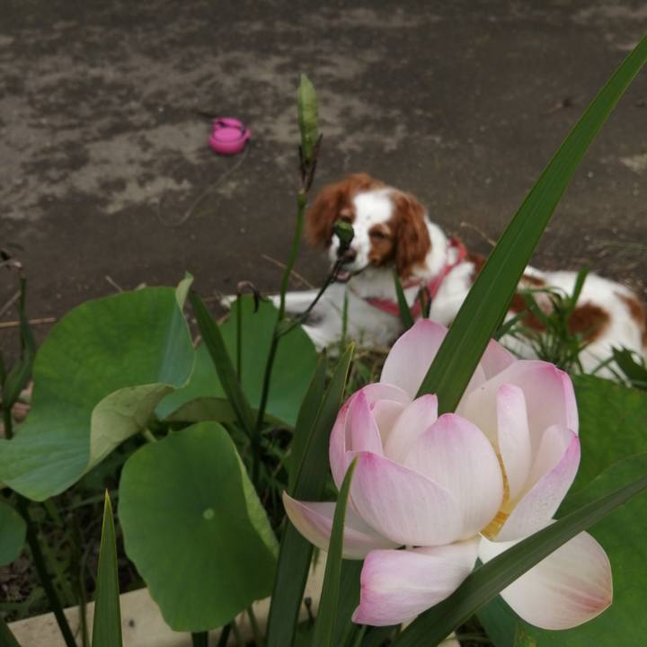 16dad657 13b1 4a32 8fa0 0567911014fe 1593843303997