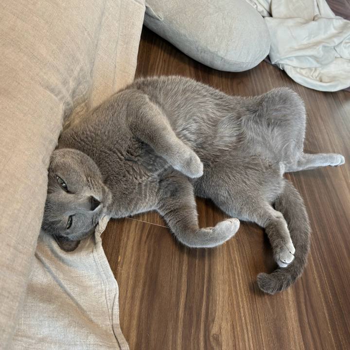 16daf853 b3bf 4360 80b9 513c177dd8d9 1741692627086